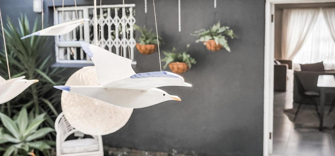 Seagull هيرمانوس المظهر الخارجي الصورة